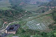 附近的梯田
