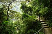 峽谷下的步道