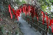景區步道