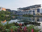 觀瀾湖新城