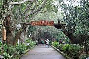 雷瓊世界地質公園海口園區