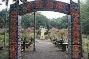 三角梅園