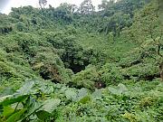 俯瞰火山口