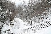 雪中的清代古神道