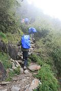 雨中登山